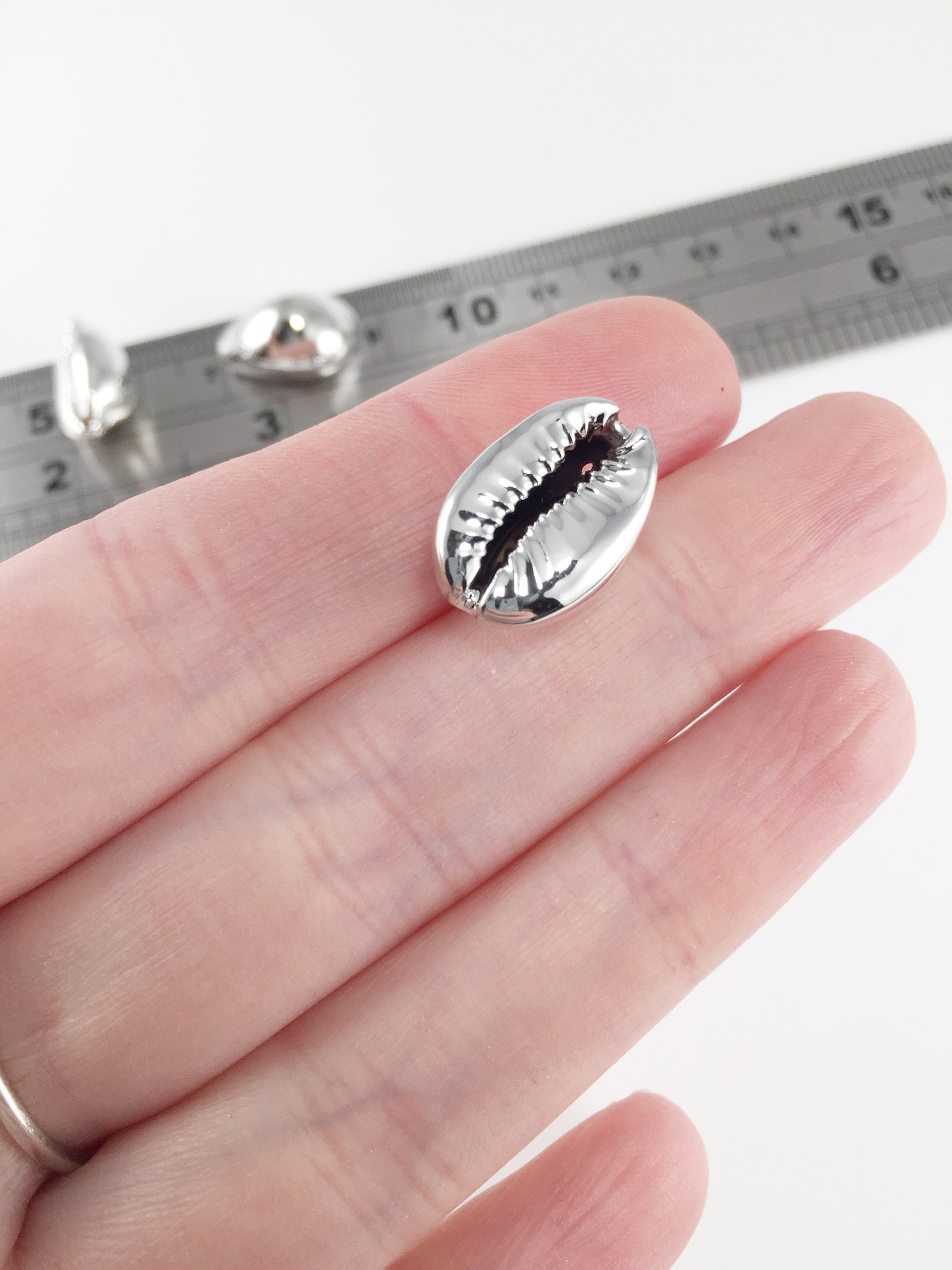 6 x Rhodium Plated Cowrie Shell Charms (1887)