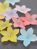 30 x Frosted Acrylic Flower Bead Mix, 22mm
