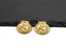 6 x Raw Brass Starfish Shell Pendant, 24x22mm (C0516)