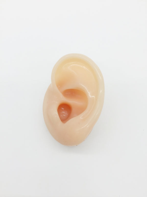 Body Colour Soft Silicone Ear Earring Display Life Size, Jewellery Photo Prop (4104)