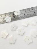 6 x White Shell Flower Beads, 16.5mm Mother of Pearl Flowers (0737)