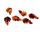 4 x Tortoiseshell Leaf Pendant, 25x16mm Cellulose Acetate Charms (C0573)