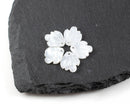 8 x Cellulose Acetate White Petal Beads, Shell Effect Charms, 15x13mm (C0585)