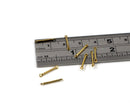 20 x Raw Brass Bar Connectors, 14x1mm (C0294)