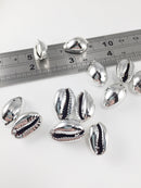 6 x Rhodium Plated Cowrie Shell Charms (1887)