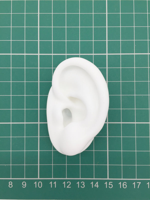 Soft Silicone Ear Earring Display Life Size, Jewellery Photo Prop (1801)